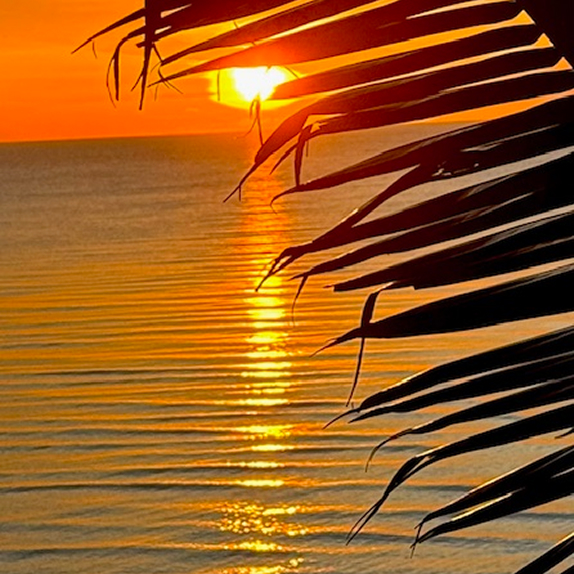 gallery image marquee