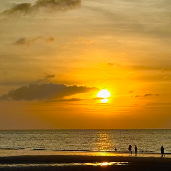 gallery image marquee