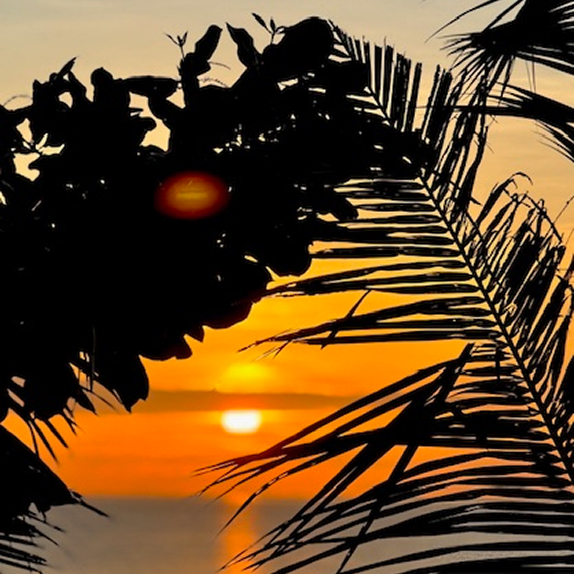 gallery image marquee